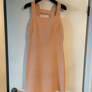 Club Monaco Dress